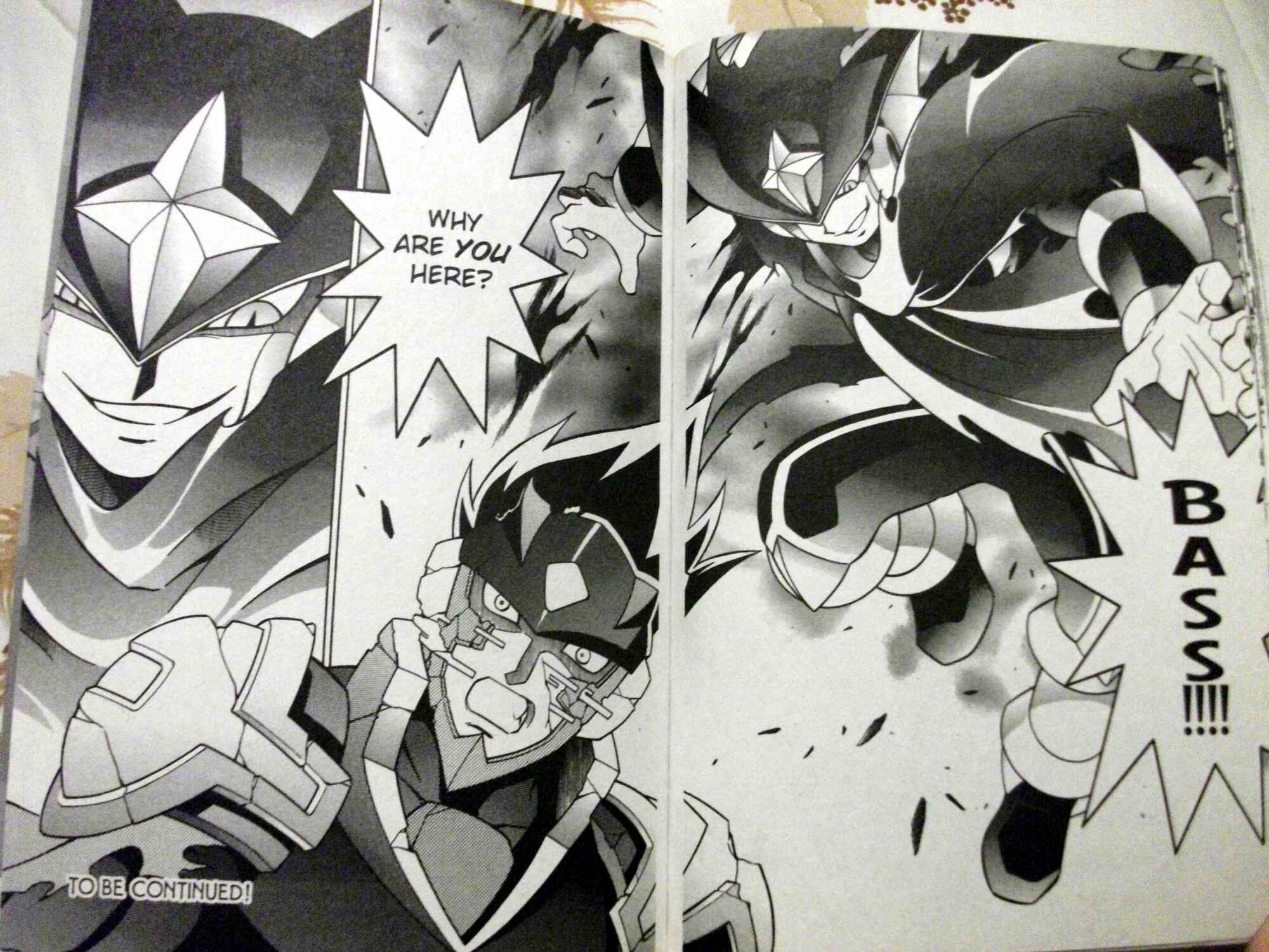 Mega Man Battle Network Chapter 55 - Page 15