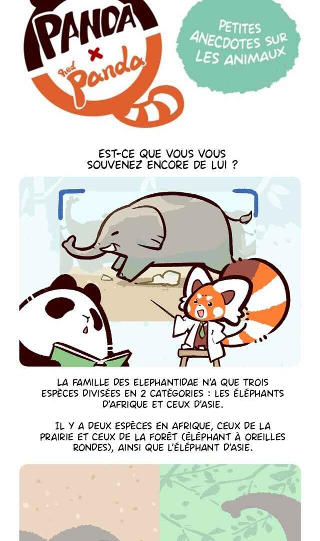 Panda x Red Panda Chapter 6 - Page 7