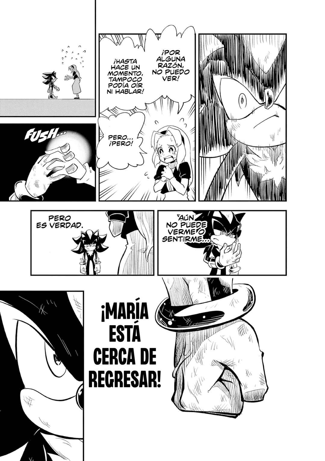 The Jet Black Hedgehog: Shadow the Hedgehog Chapter 3 - Page 30