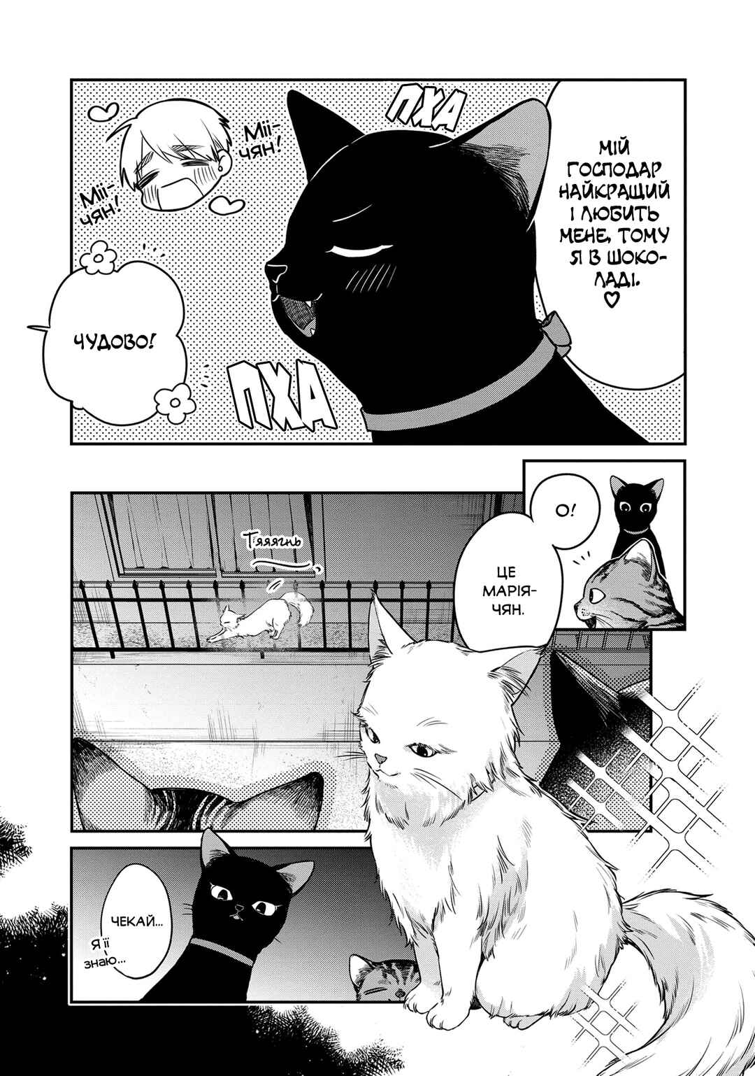 Mii-chan wa Kawaretai Chapter 5 - Page 3