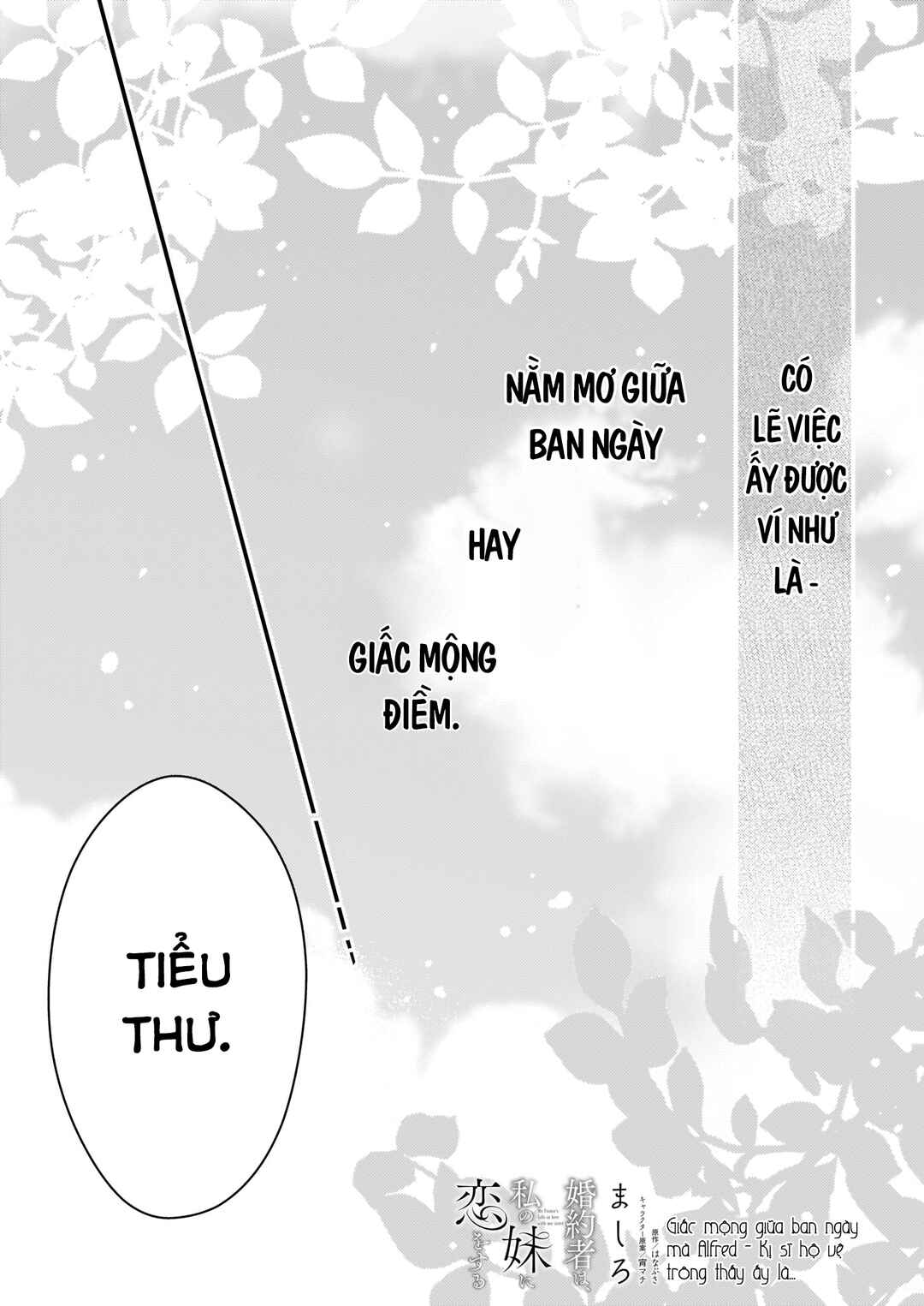 Konyakusha wa, watashi no imouto ni koi o suru Chapter 12.5 - Page 3