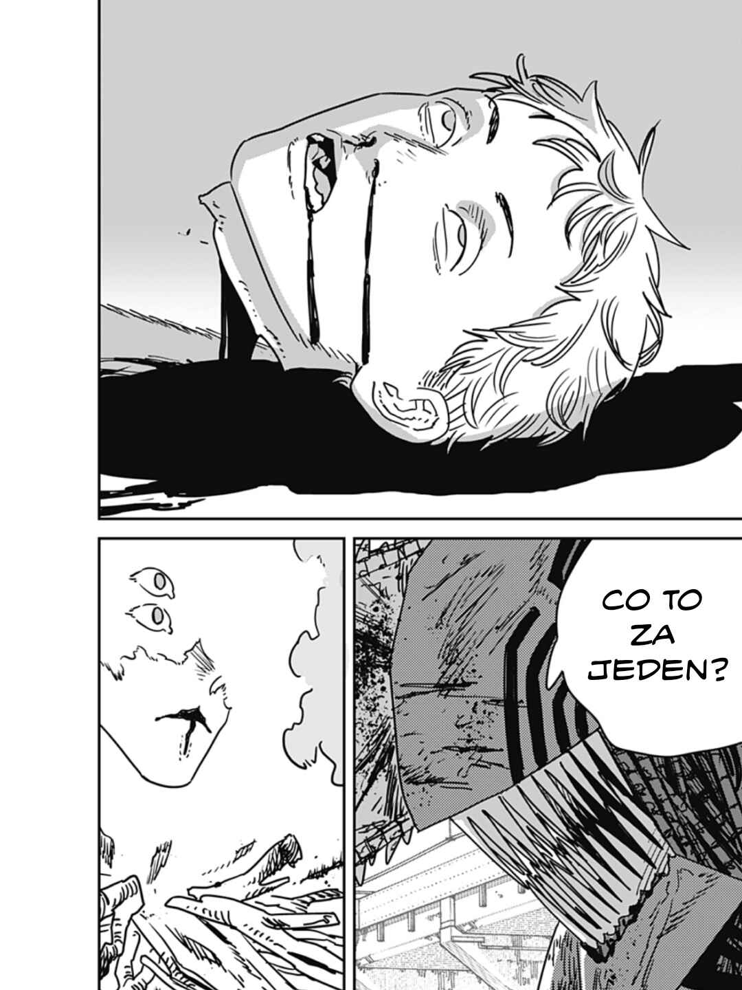 Chainsaw Man Chapter 205 - Page 3