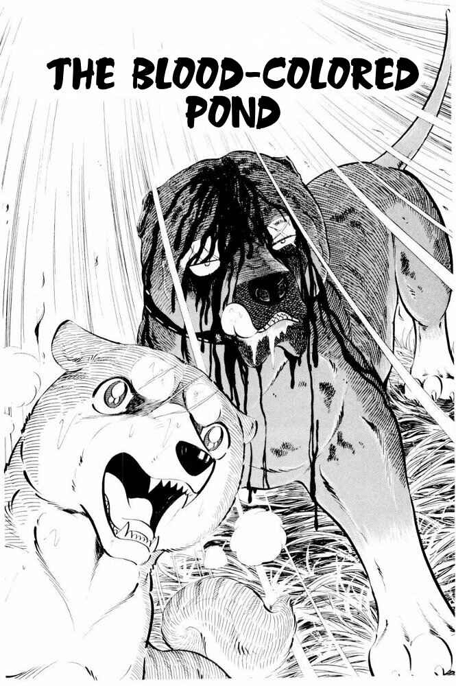 Silver Fang – The Shooting Star Gin – Chapter 39 - Page 1
