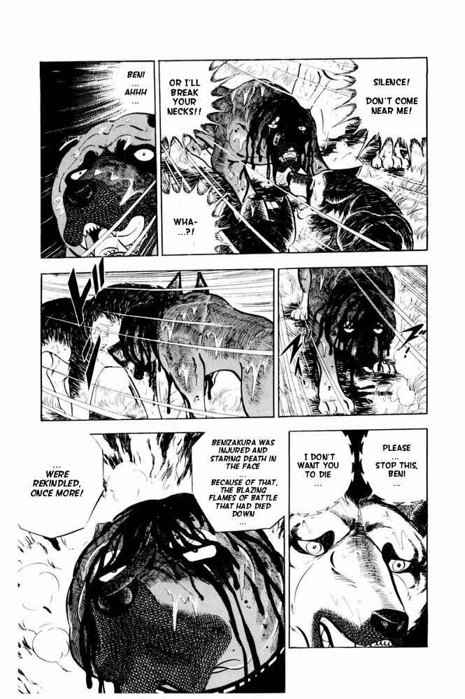 Silver Fang – The Shooting Star Gin – Chapter 39 - Page 11