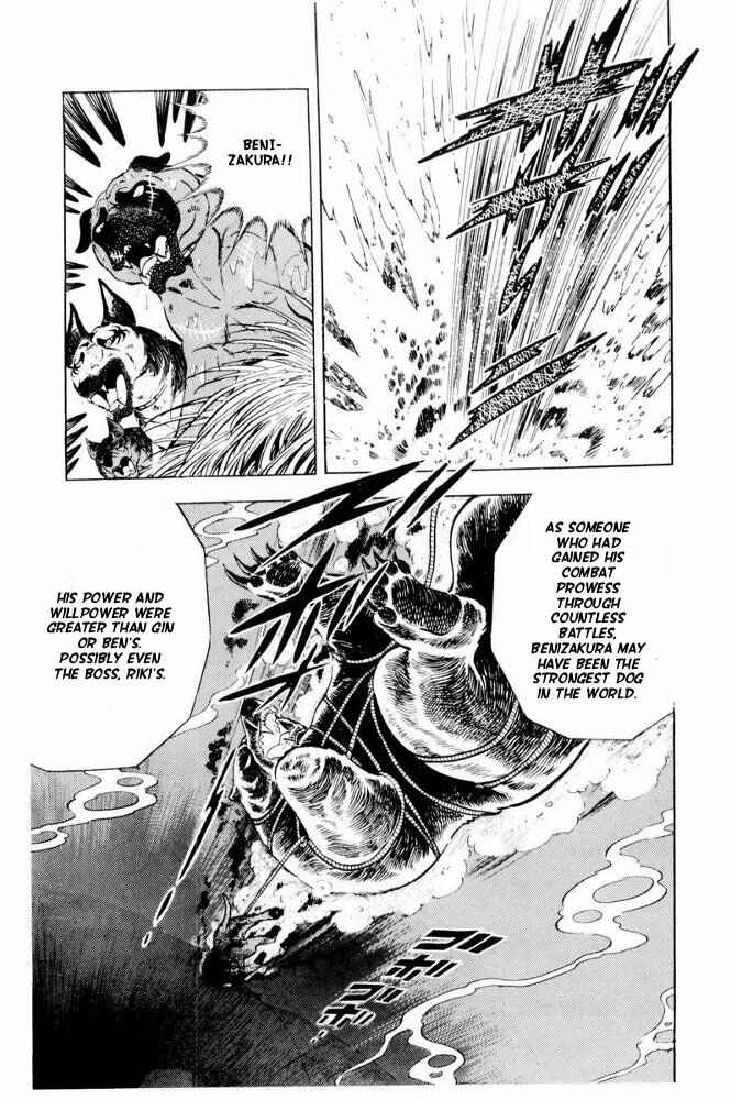 Silver Fang – The Shooting Star Gin – Chapter 39 - Page 34