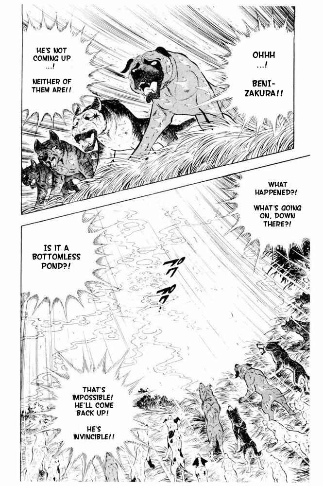 Silver Fang – The Shooting Star Gin – Chapter 39 - Page 39