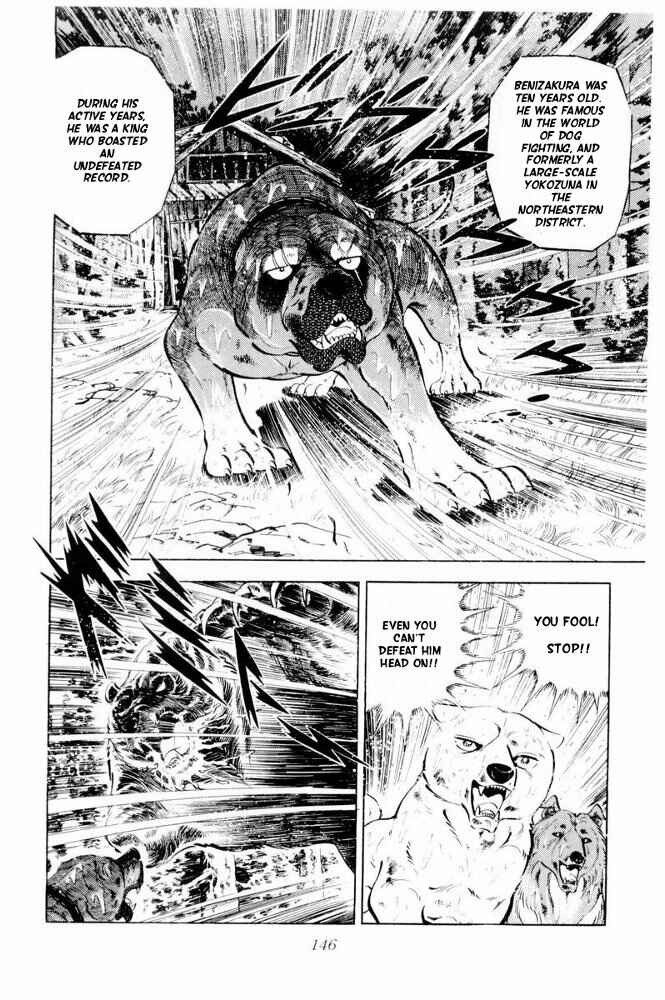 Silver Fang – The Shooting Star Gin – Chapter 39 - Page 4