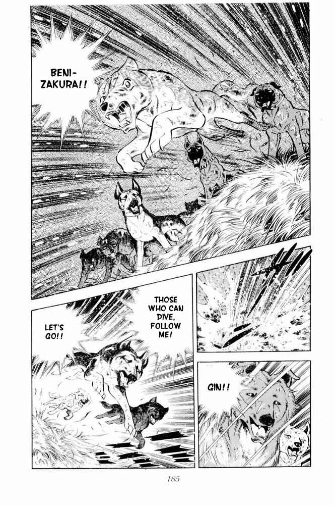Silver Fang – The Shooting Star Gin – Chapter 39 - Page 42