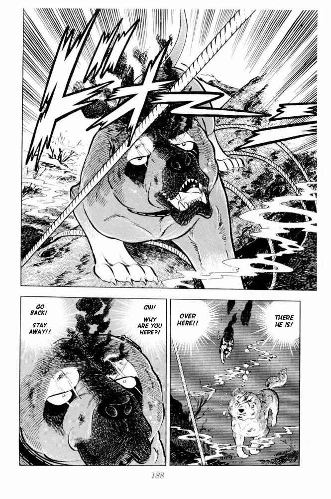 Silver Fang – The Shooting Star Gin – Chapter 39 - Page 45