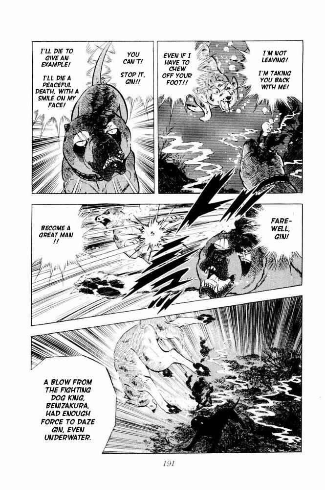 Silver Fang – The Shooting Star Gin – Chapter 39 - Page 48