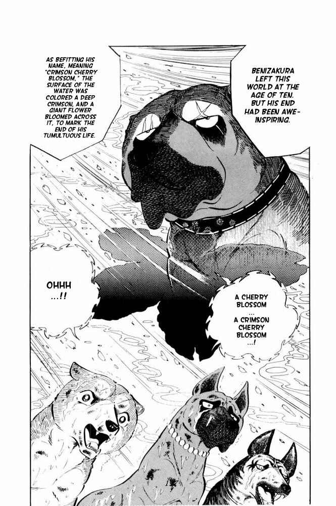 Silver Fang – The Shooting Star Gin – Chapter 39 - Page 54