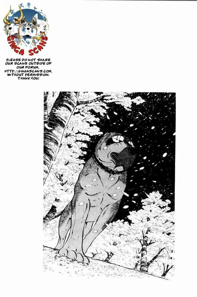 Silver Fang – The Shooting Star Gin – Chapter 39 - Page 55