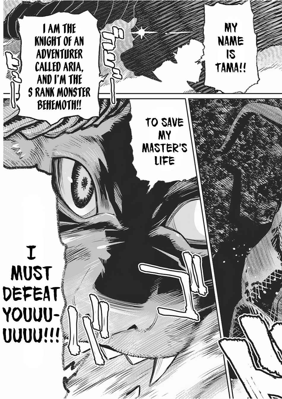 S-Rank Monster no "Behemoth" dakedo, Neko to Machigawarete Elf Musume no Pet to Shite Kurashitemasu Chapter 15 - Page 14
