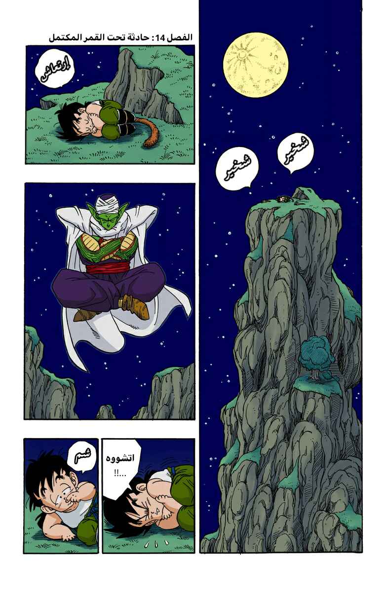 Dragon Ball (Official Colored) Chapter 208 - Page 1