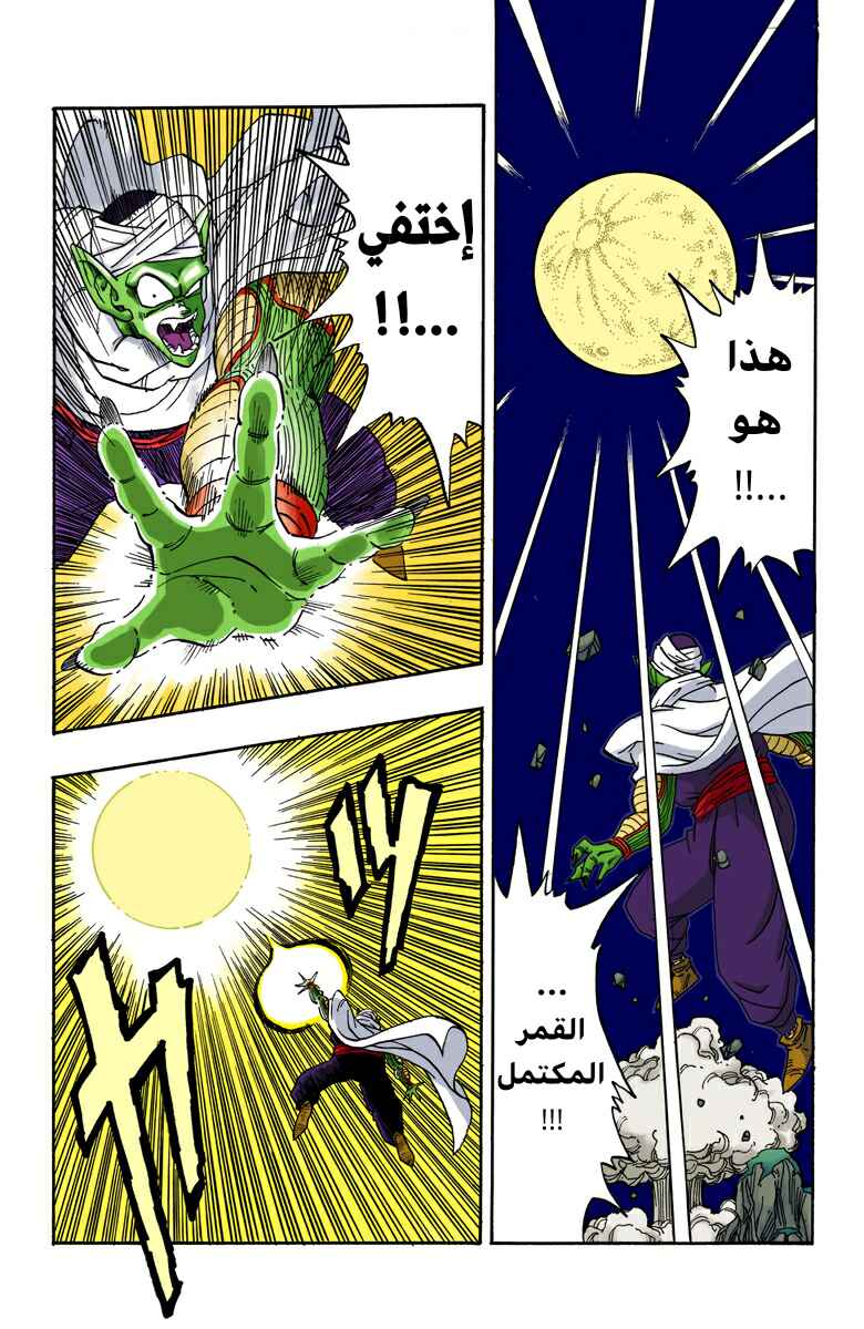 Dragon Ball (Official Colored) Chapter 208 - Page 10