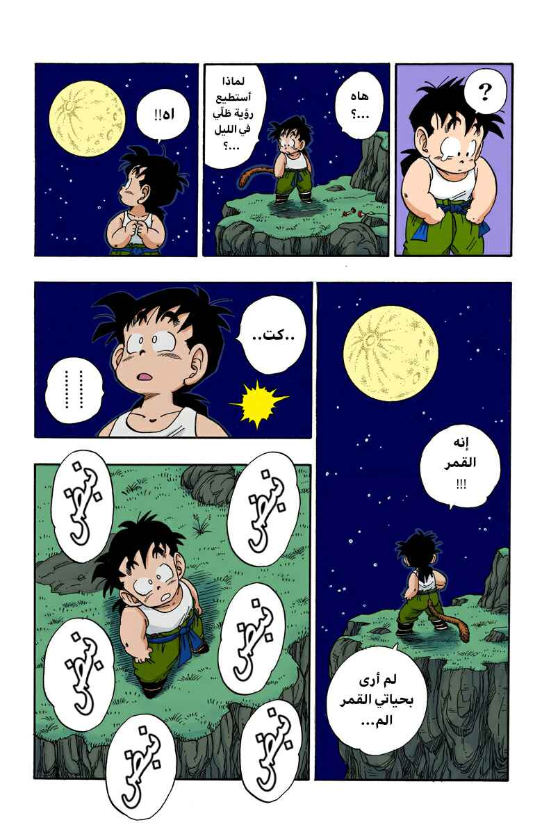 Dragon Ball (Official Colored) Chapter 208 - Page 3