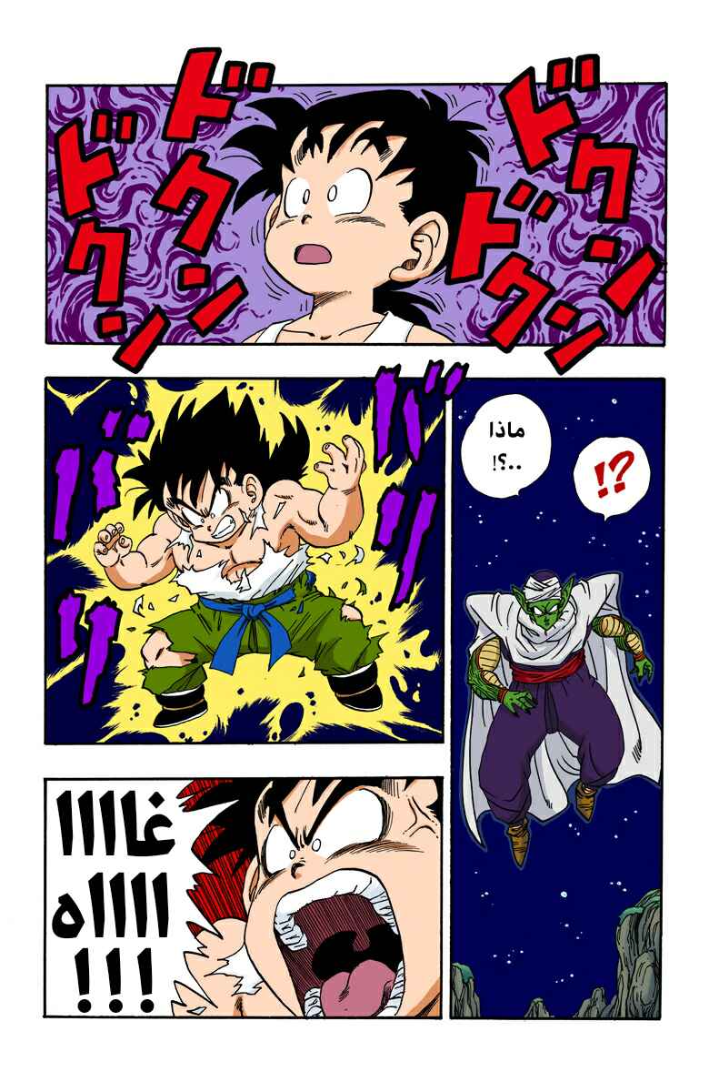 Dragon Ball (Official Colored) Chapter 208 - Page 4