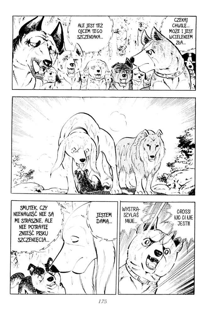 Silver Fang – The Shooting Star Gin – Chapter 23 - Page 33