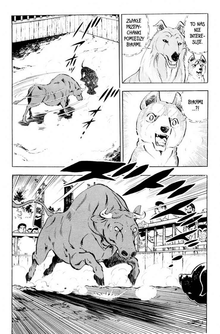 Silver Fang – The Shooting Star Gin – Chapter 28 - Page 29