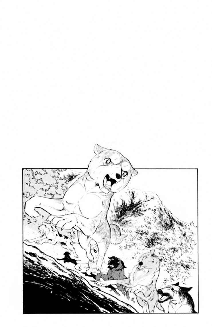 Silver Fang – The Shooting Star Gin – Chapter 28 - Page 62