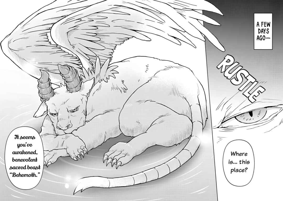 "Saikyou Status" wo Hikitsuide Ningen ni Tensei Shita Seijuu Behemoth, Yuusha no Konyakusha (Ohimesama) wo Ukkari Netotteshimau Chapter 1 - Page 10