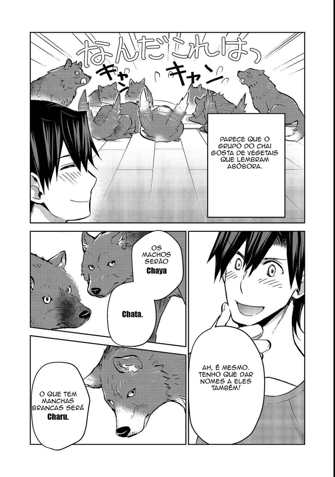Isekai ni Otosareta... Jouka wa Kihon! Chapter 17 - Page 10