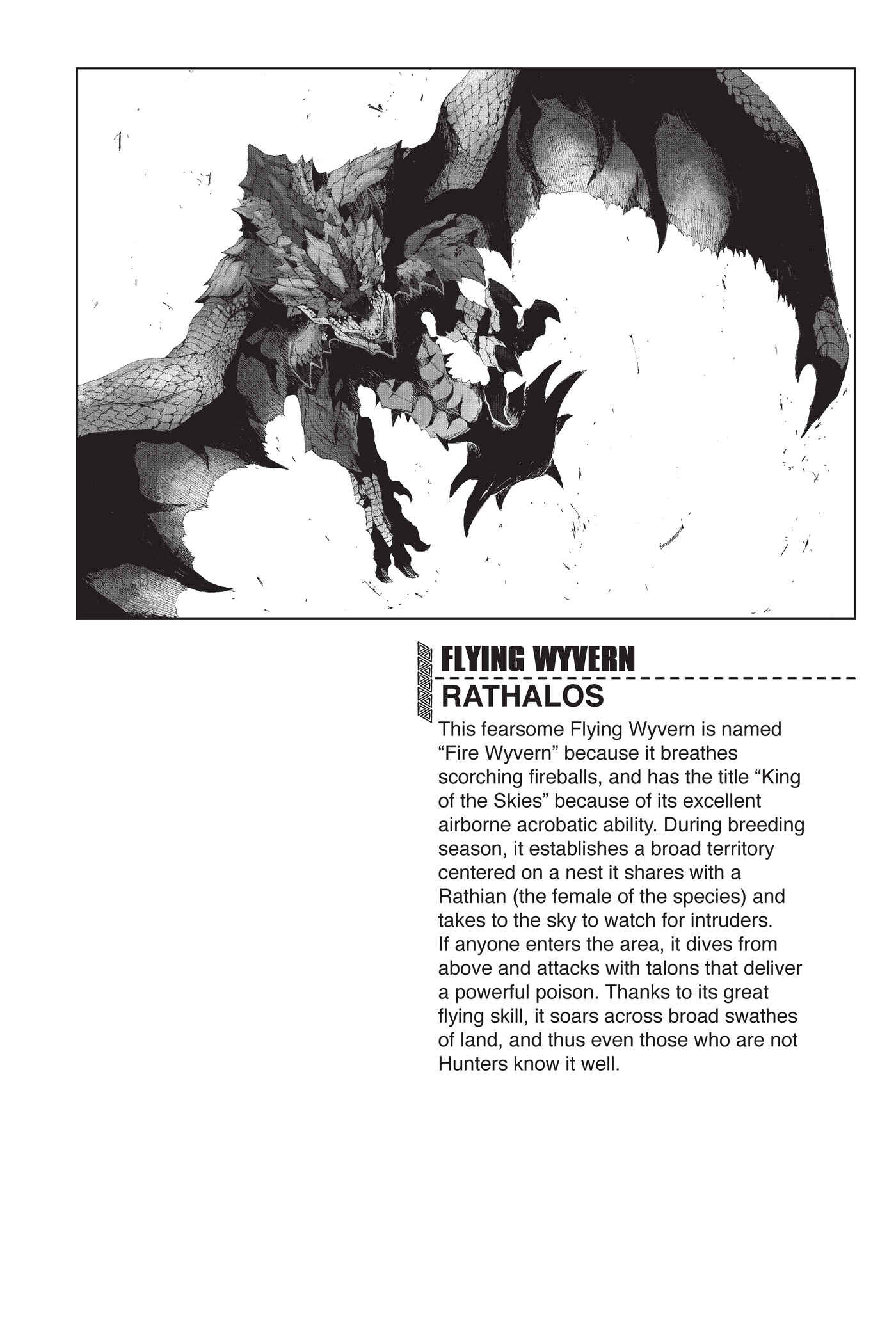 Monster Hunter: Flash Hunter Chapter 54 - Page 23