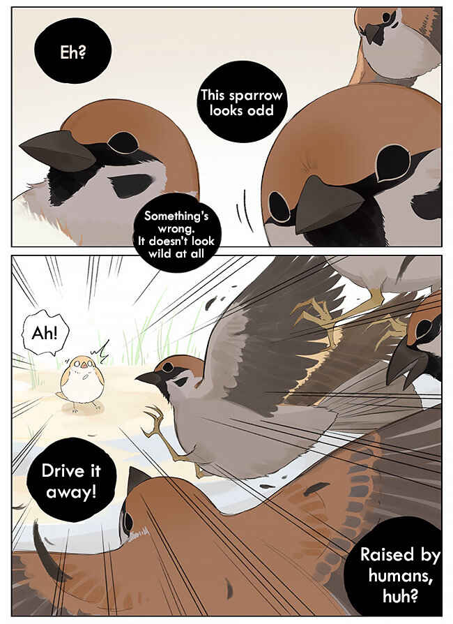 Southern Bird and Northern Bird Chapter 9 - Page 4