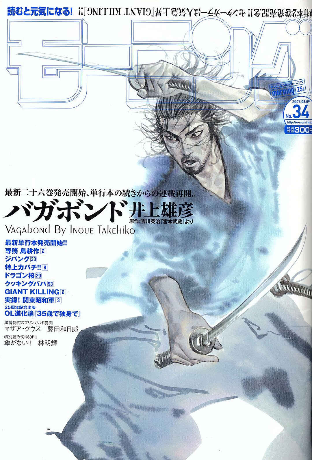 Vagabond Chapter 234 - Page 2