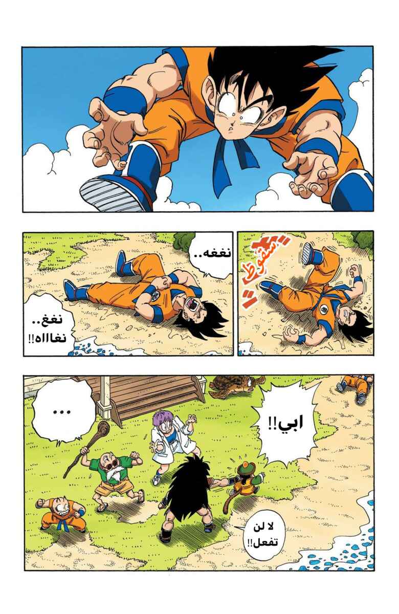 Dragon Ball (Official Colored) Chapter 197 - Page 13
