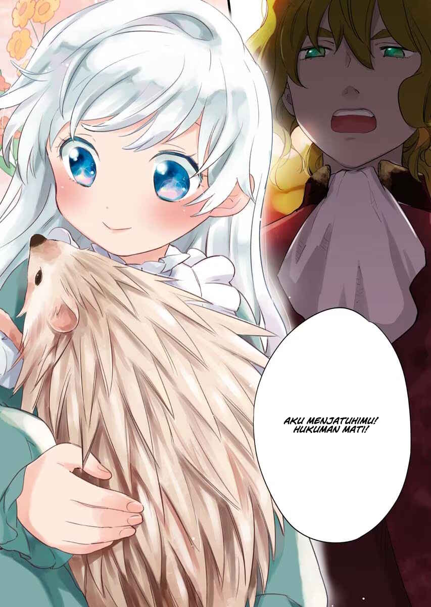 Shinimodori Reijou no Karisome Kekkon Chapter 1 - Page 5