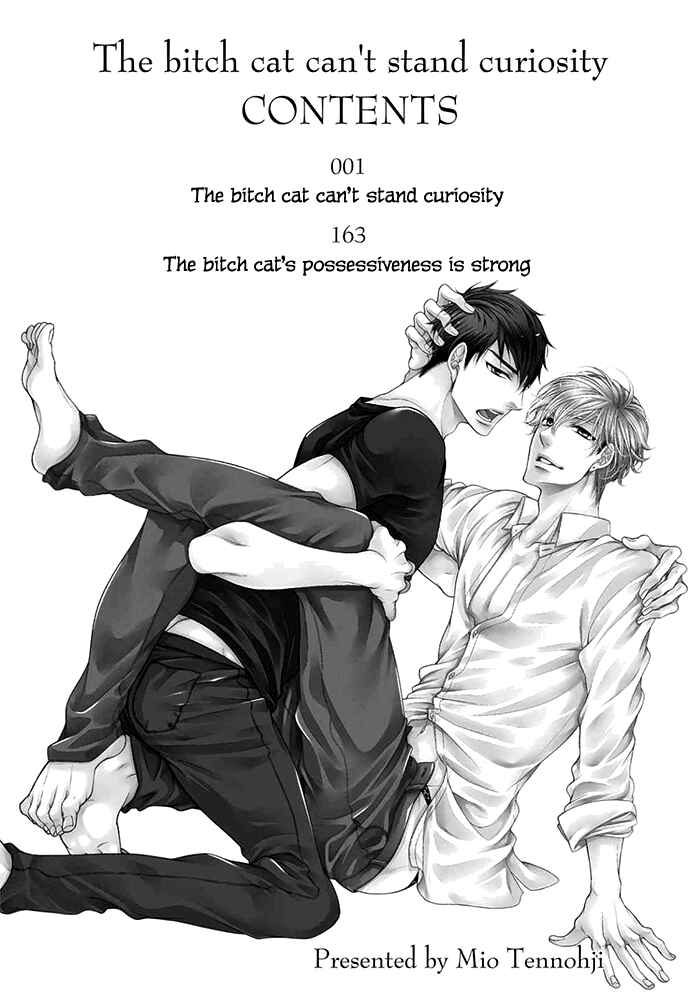 Bitch na Neko wa Koukishin ni Katenai Chapter 1 - Page 4