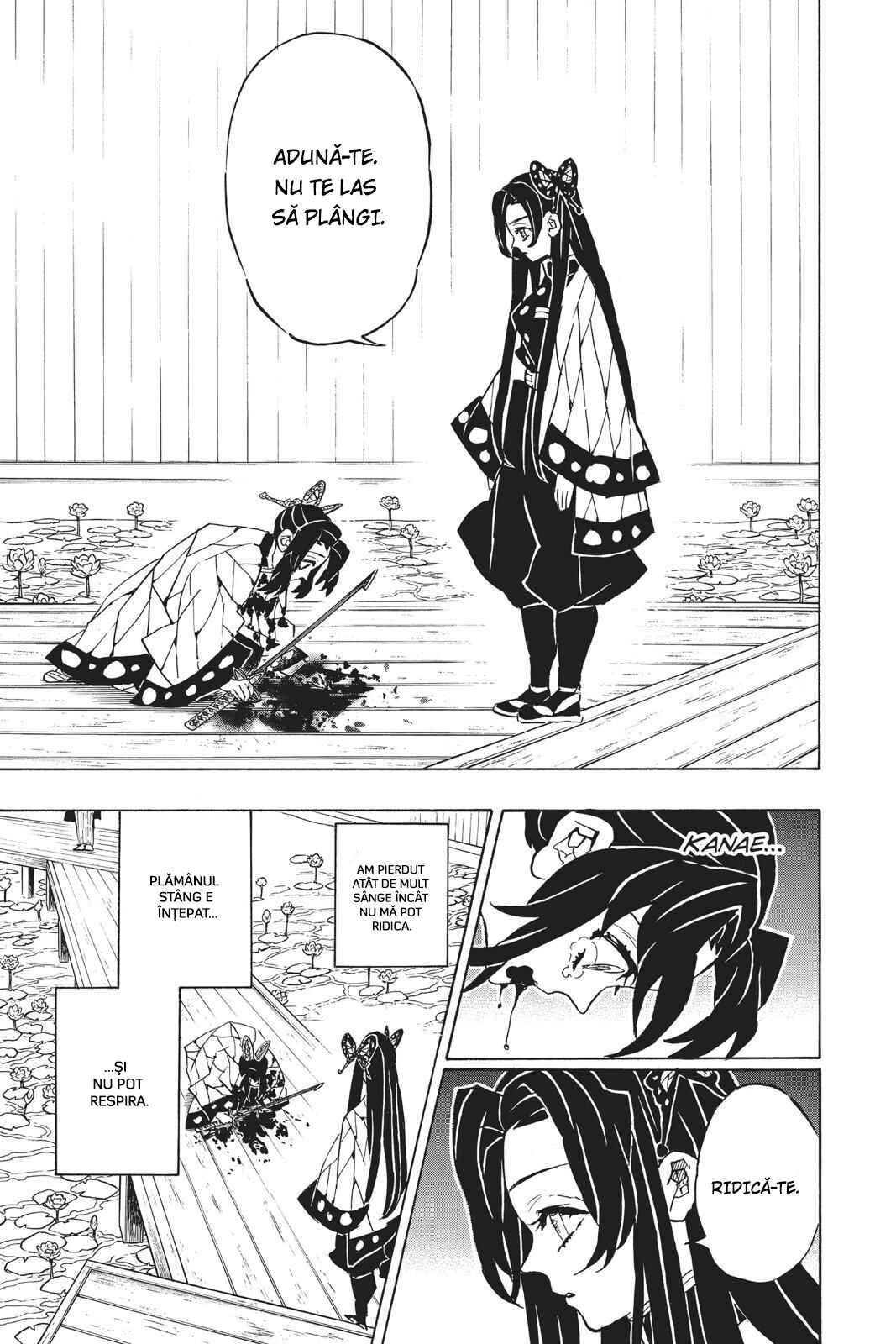 Demon Slayer: Kimetsu no Yaiba Chapter 142 - Page 12