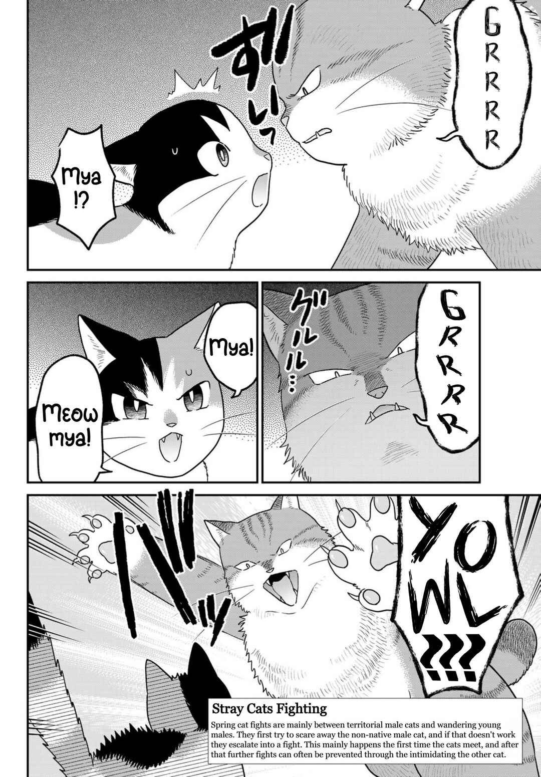 Hataraku Saibou Neko Chapter 21 - Page 12