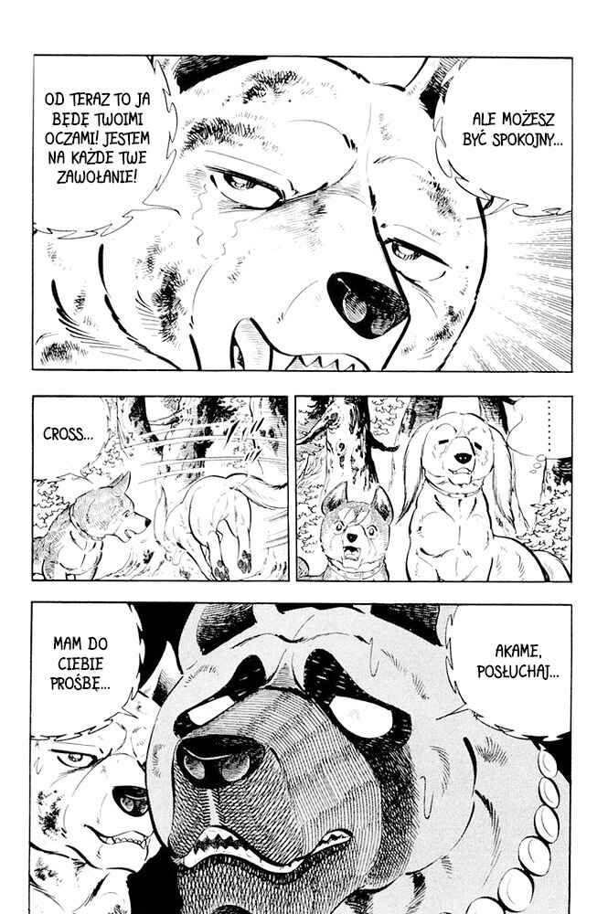 Silver Fang – The Shooting Star Gin – Chapter 22 - Page 10