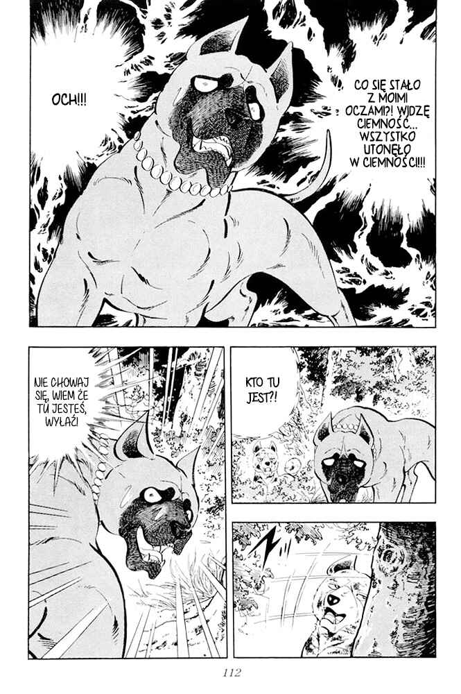 Silver Fang – The Shooting Star Gin – Chapter 22 - Page 8