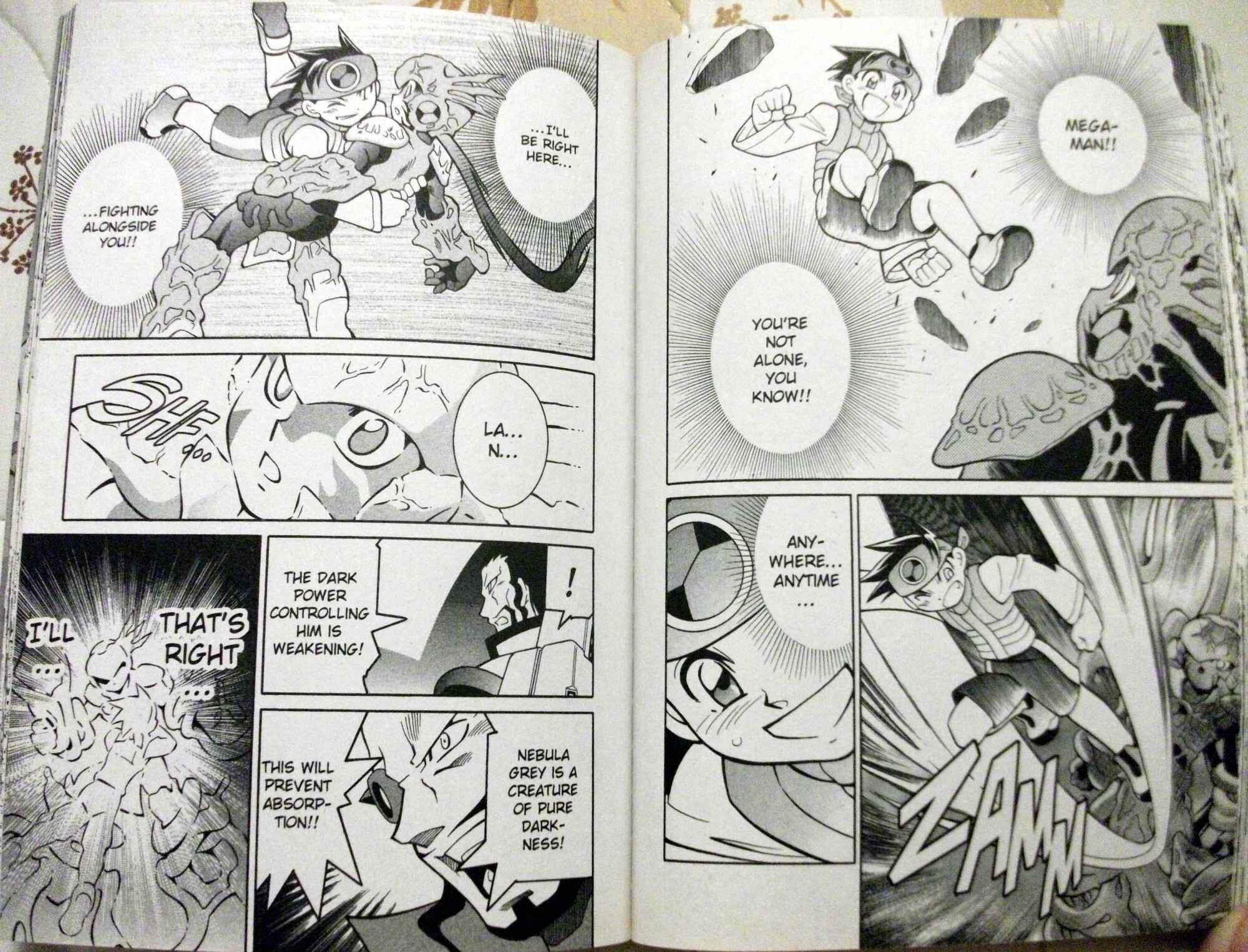 Mega Man Battle Network Chapter 54 - Page 14