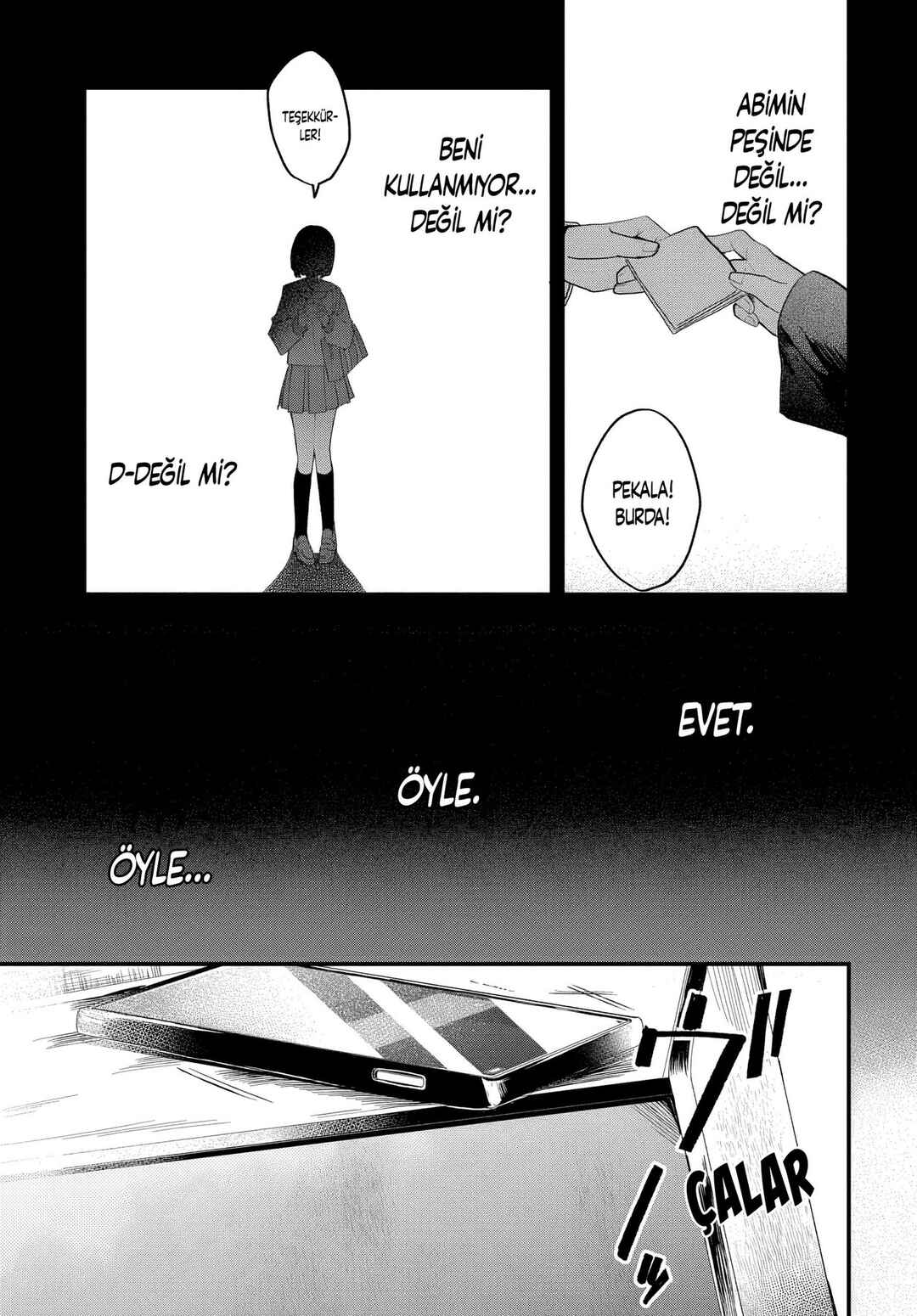 Osoraku Kanojo wa Ore no Aniki wo Neratteru Chapter 17 - Page 4