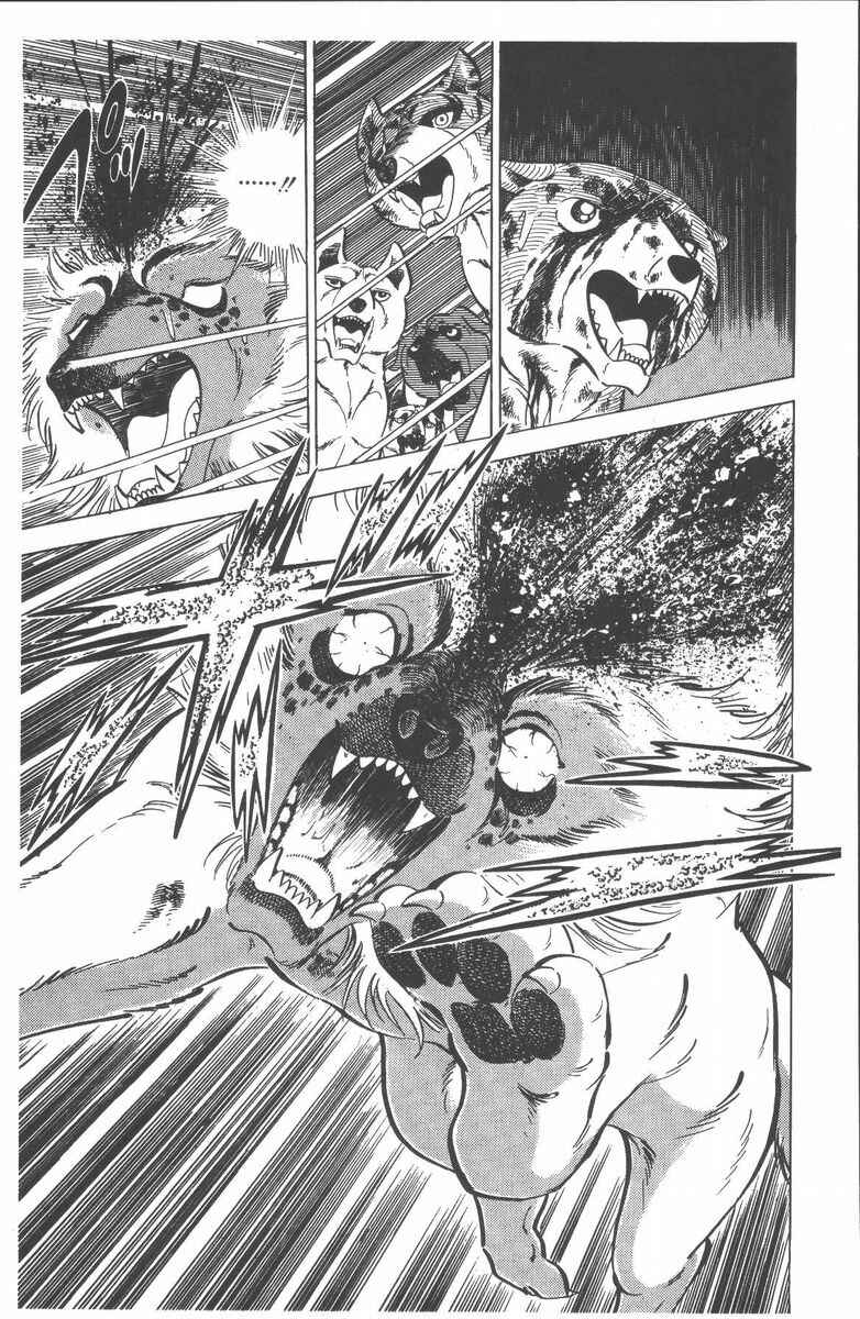 Silver Fang – The Shooting Star Gin – Chapter 52 - Page 11