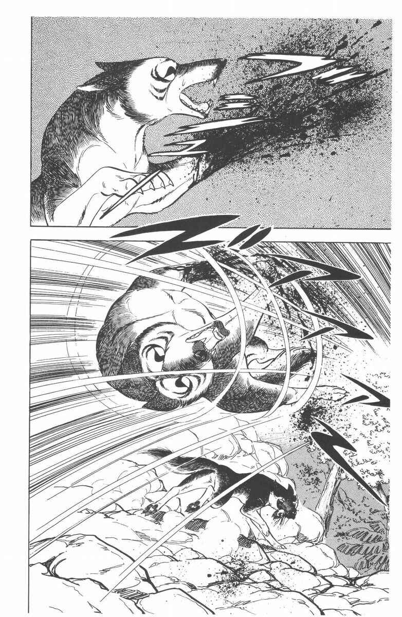 Silver Fang – The Shooting Star Gin – Chapter 52 - Page 38