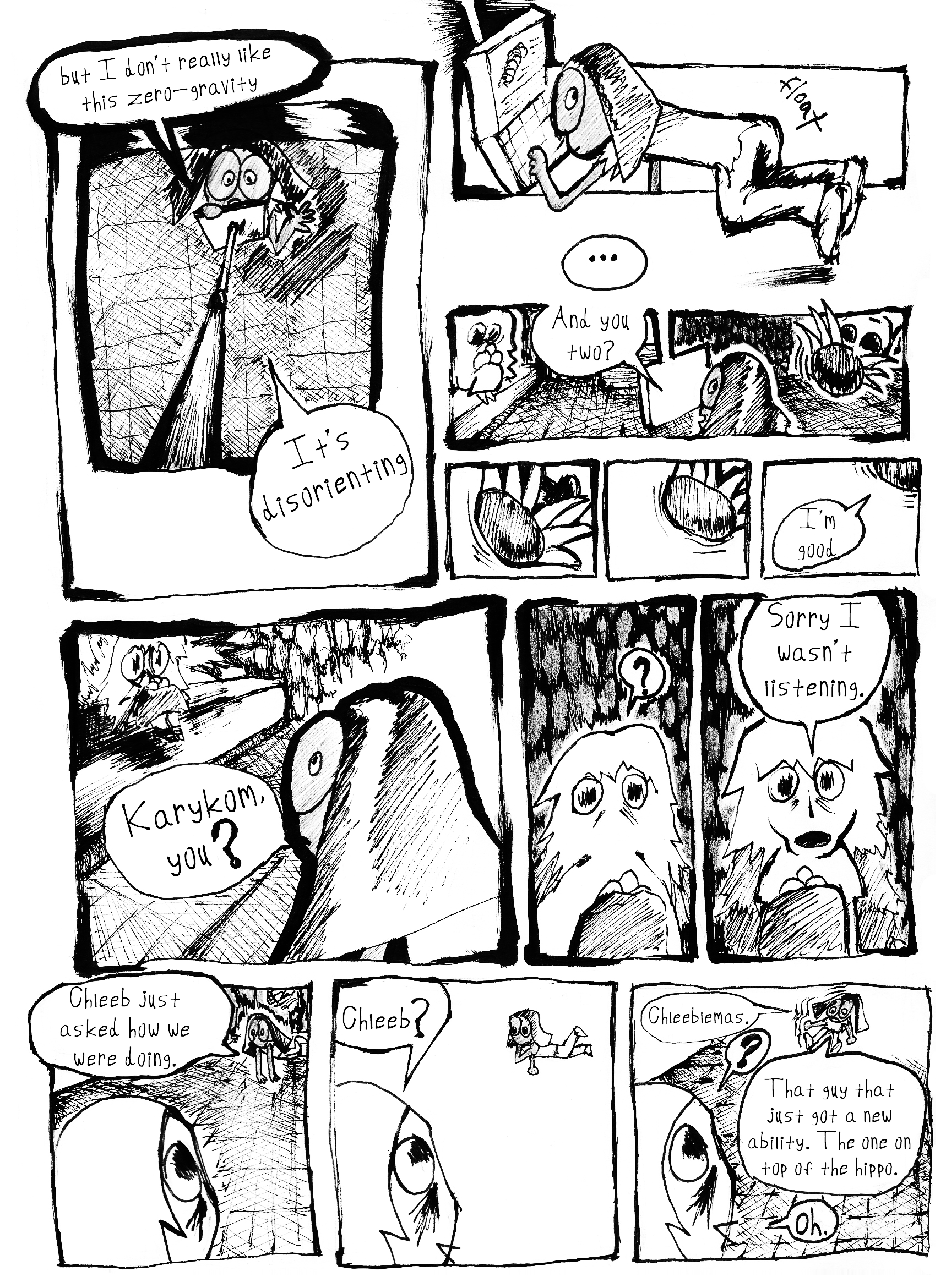 Page 3