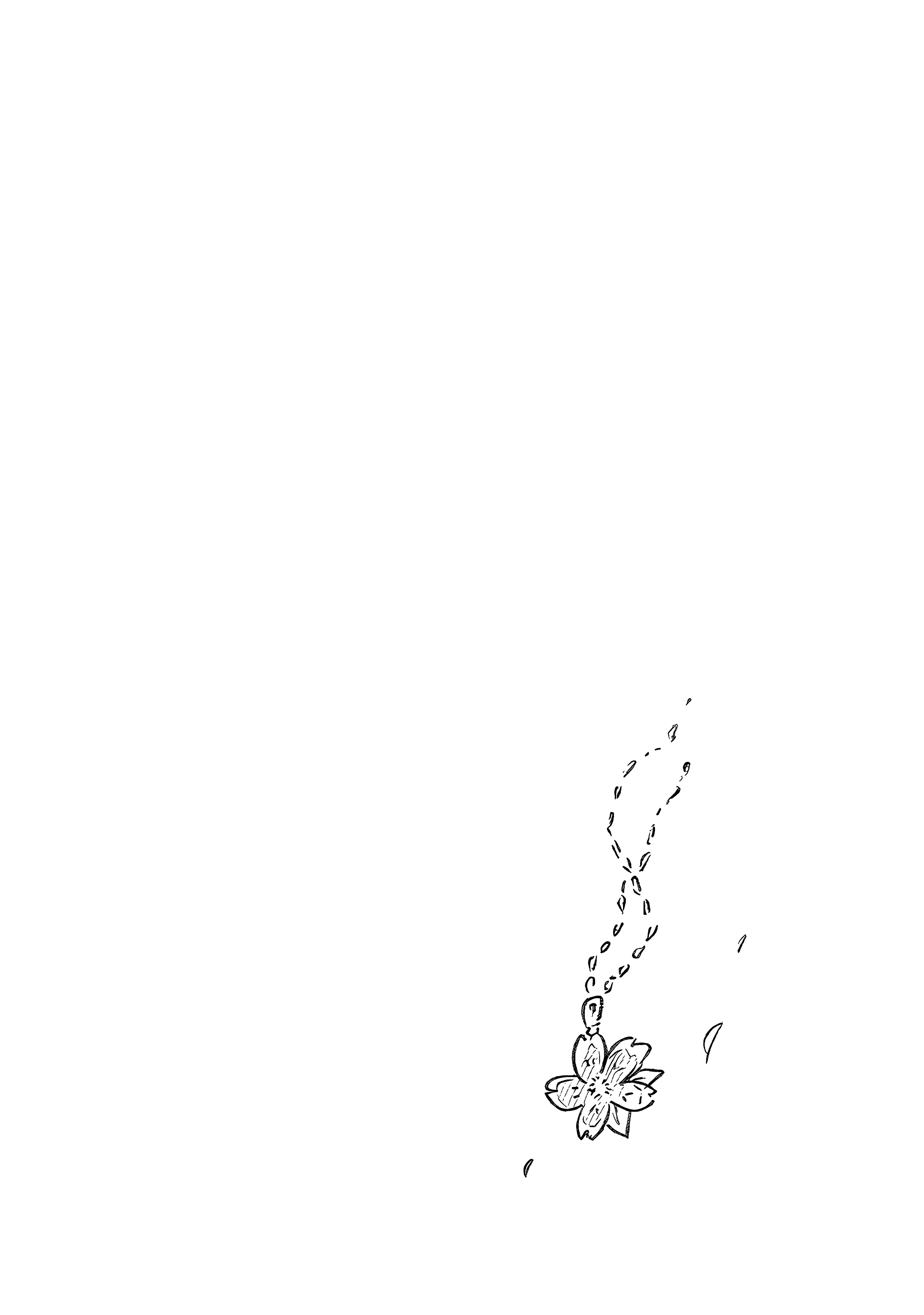 19-d76747aa2cf28a7bc2568db277ae3a069d08f33e4bba1b3b57669a378d46628c.png